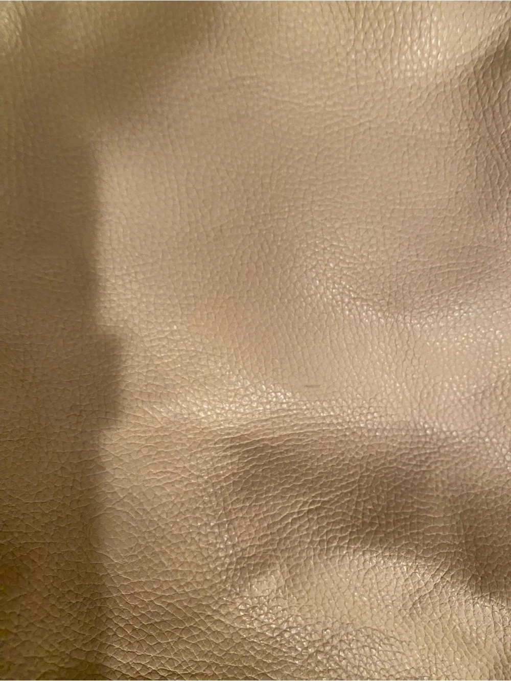 Cuyana Classic Nude Leather Tote Bag - AS IS